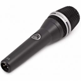 	Micros chant - AKG - C5