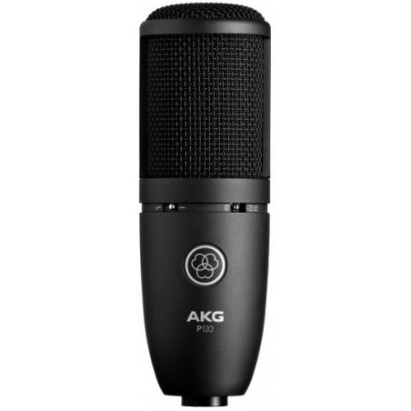 Micros studio - AKG - P120