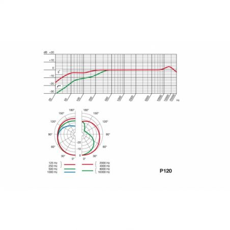 Micros studio - AKG - P120