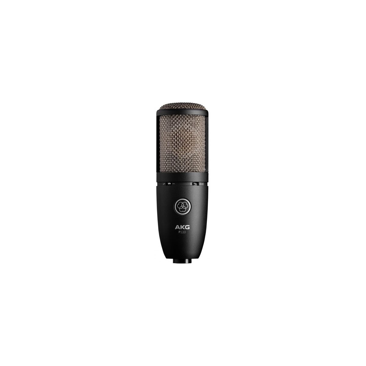 Micros studio - AKG - P220