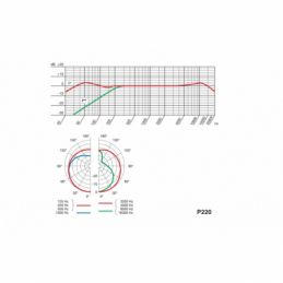 	Micros studio - AKG - P220