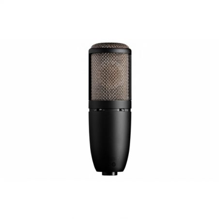 Micros studio - AKG - P420