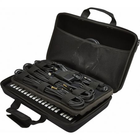 Housses et Flight cases matériel Home studio - Pioneer DJ AlphaTheta - DJC-TSP16 BAG