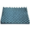 FOAM 100