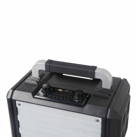 Sonos portables sur batteries - Power Acoustics - Sonorisation - FUNMOVE 250