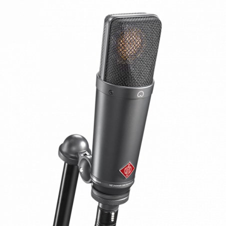 Micros studio - Neumann - TLM 193