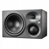 KH310 A R G