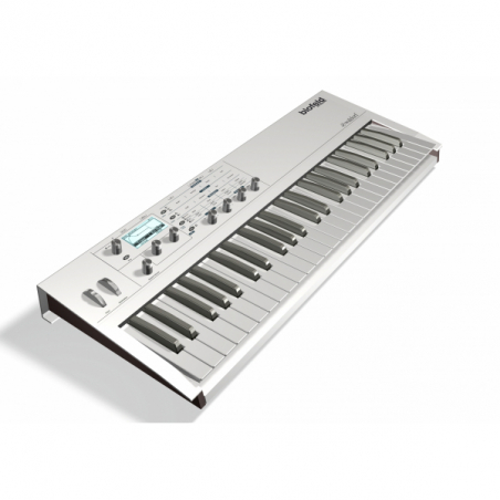 Synthé analogiques - Waldorf - BLOFELD KEYBOARD (BLANC)