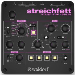 	Synthé analogiques - Waldorf - STREICHFETT