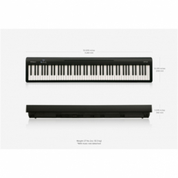 	Pianos numériques portables - Roland - FP-10