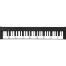 	Pianos numériques portables - Korg - D1
