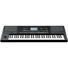 	Claviers arrangeurs - Korg - PA300