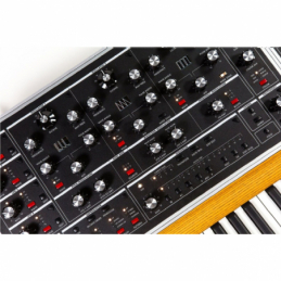 	Synthé analogiques - Moog - MOOG ONE 8