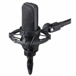 Micros studio - Audio-Technica - AT4033 ASM