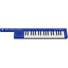 	Claviers arrangeurs - Yamaha - SONOGENIC SHS-300 (BLEU)