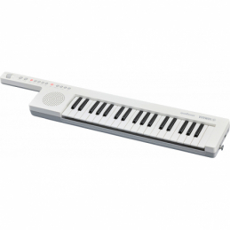 	Claviers arrangeurs - Yamaha - SHS-300 (BLANC)