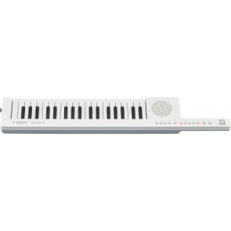 	Claviers arrangeurs - Yamaha - SHS-300 (BLANC)