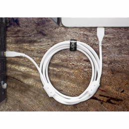 	Câbles USB A vers B - UDG - U95001WH (1 mètre)