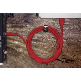	Câbles USB A vers B - UDG - Ultimate Audio Cable USB...
