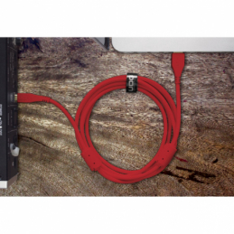 	Câbles USB A vers B - UDG - U95002RD (2 mètres)