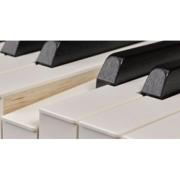 	Pianos numériques portables - Yamaha - P-515 (BLANC)