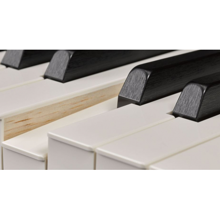 Pianos numériques portables - Yamaha - P-515 (BLANC)