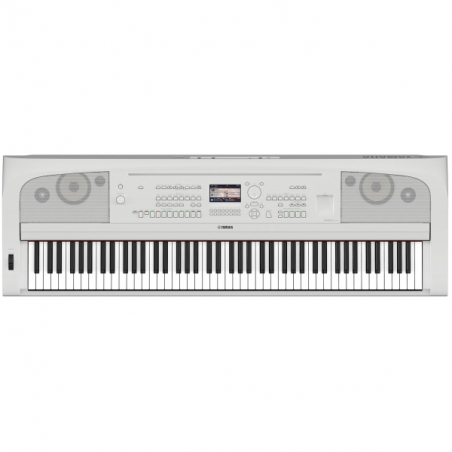 Claviers arrangeurs - Yamaha - DGX-670 (BLANC)
