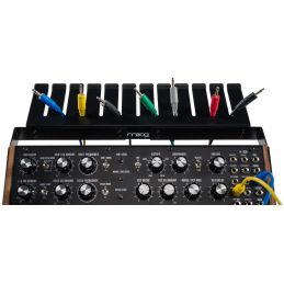 	Synthé analogiques - Moog - Moog Sound Studio DFAM &...