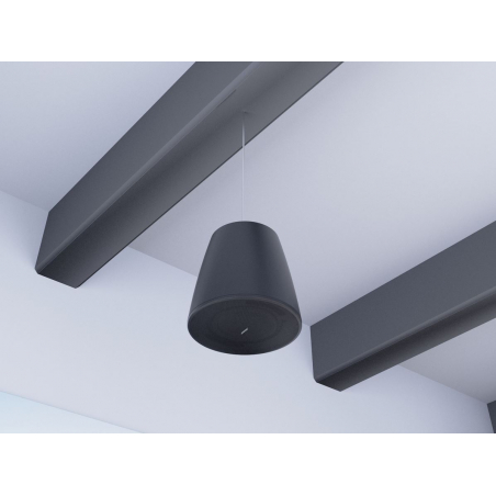 Enceintes plafonniers - Bose Professional - DesignMax DM10P-SUB (Noir)