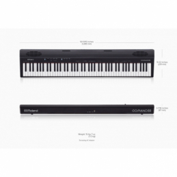 	Packs Claviers et Synthé - Roland - Pack GO:PIANO 88 + Stand +...