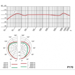 	Micros instruments - AKG - P170