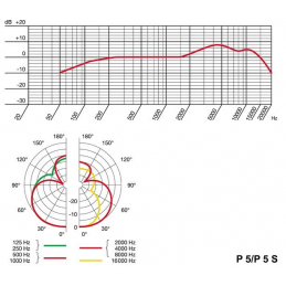 	Micros chant - AKG - P5S