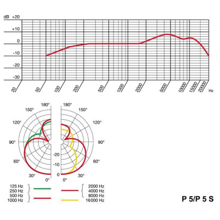 Micros chant - AKG - P5S