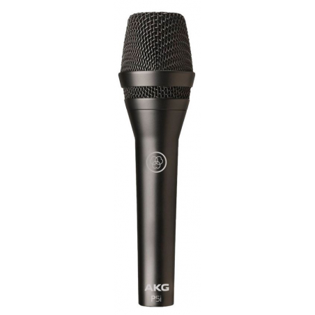 Micros chant - AKG - P5i