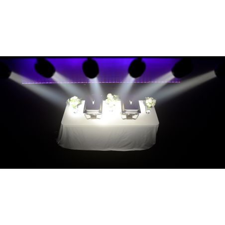 Projecteurs architecturaux LED - Chauvet DJ - Pinspot Bar