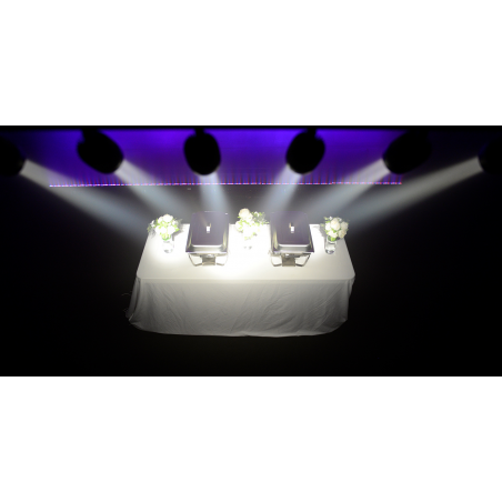 Projecteurs PAR LED - Chauvet DJ - Pinspot Bar