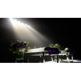 	Projecteurs PAR LED - Chauvet DJ - Pinspot Bar