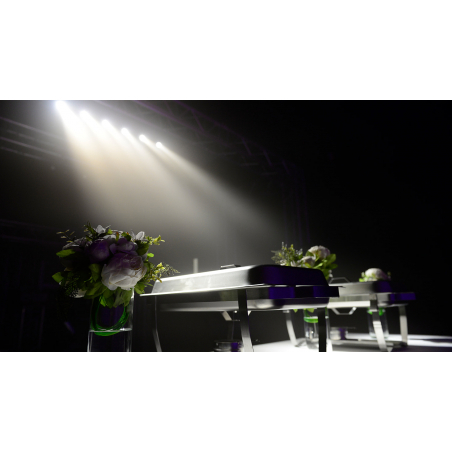 Projecteurs PAR LED - Chauvet DJ - Pinspot Bar