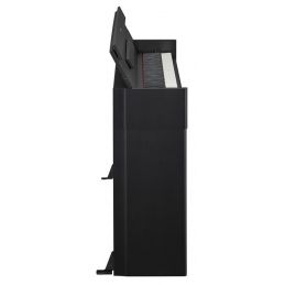 	Pianos numériques meubles - Yamaha - YDP-S55 B (NOIR)