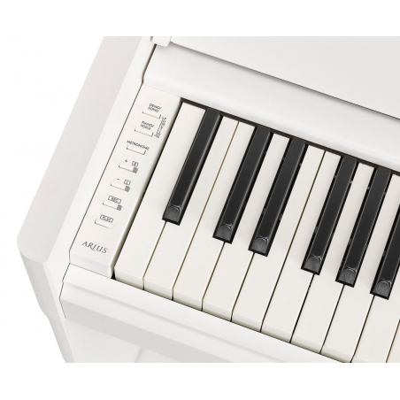 Pianos numériques meubles - Yamaha - YDP-S55 (BLANC)