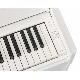 	Pianos numériques meubles - Yamaha - YDP-S55 WH (BLANC)