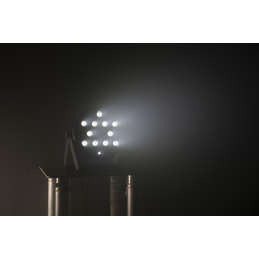 	Projecteurs PAR LED - Ibiza Light - THINPAR-36X1WHITE