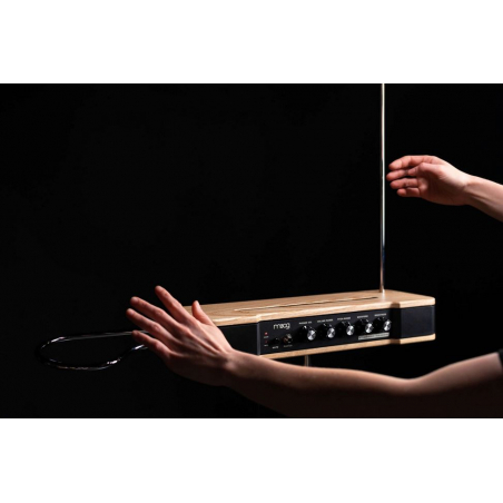 Synthé analogiques - Moog - Etherwave Theremin