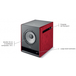 	Caissons de basse monitoring - Focal - SUB12 ST6