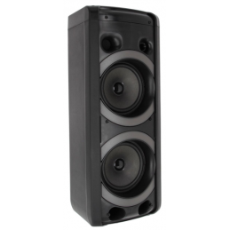 	Enceintes portables - Power Acoustics - Sonorisation - GOFUN 100