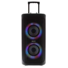 	Enceintes portables - Power Acoustics - Sonorisation - GOFUN 200