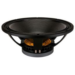 	Hauts parleurs basse fréquence - B&C Speakers - 18 TBX 100