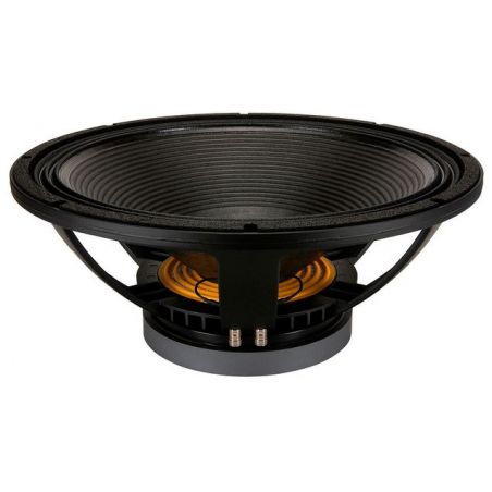 Hauts parleurs basse fréquence - B&C Speakers - 18 TBX 100