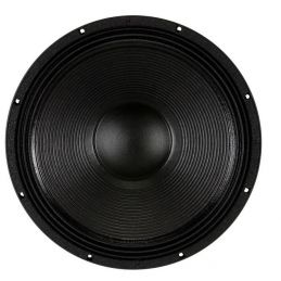 	Hauts parleurs basse fréquence - B&C Speakers - 18 TBX 100