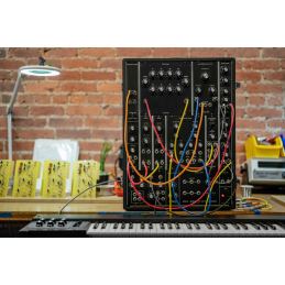 	Synthé analogiques - Moog - Model 10